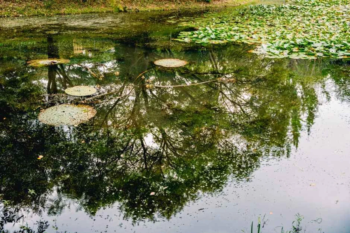 경상남도수목원 - 진주 여행 여행