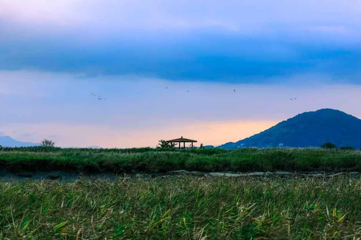 순천만습지 낚시 (출처 : 한국관광공사)
