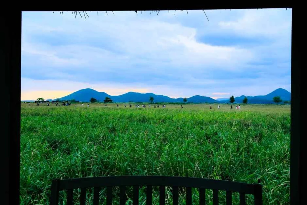순천만습지 낚시 포인트 - 순천여행 여행