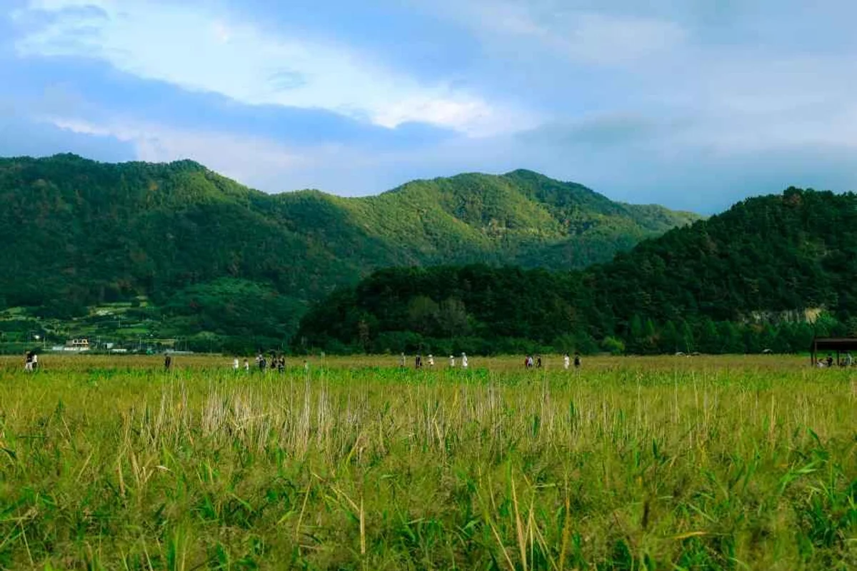 순천만습지천문대 - 순천여행 여행