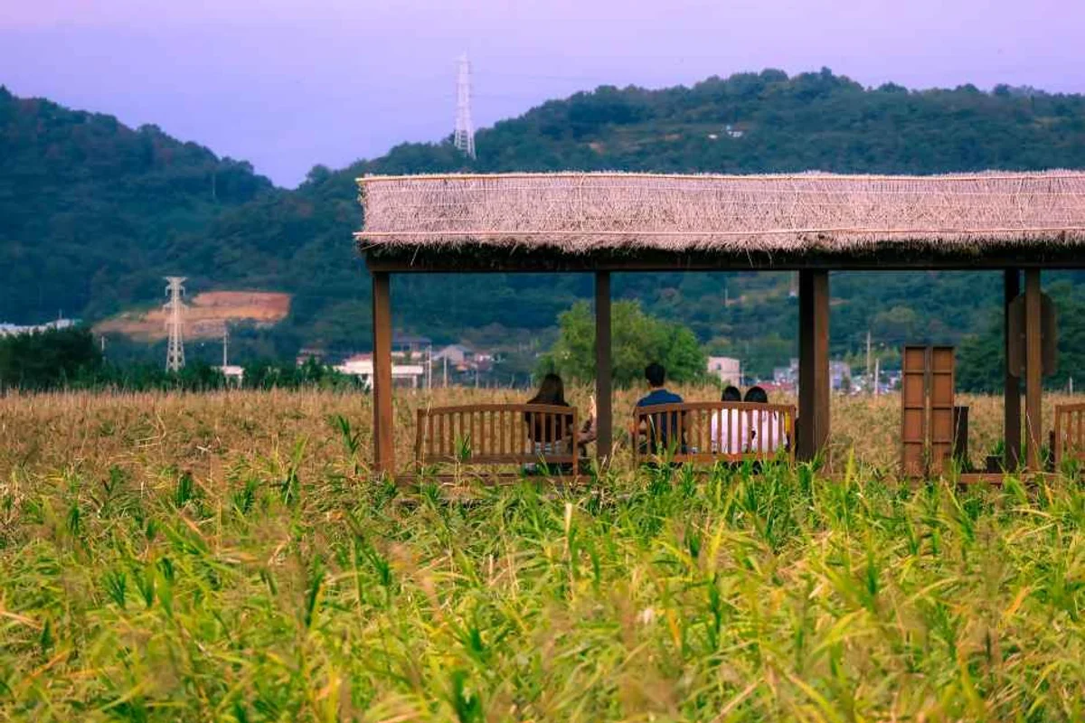 순천동천 - 순천여행 여행