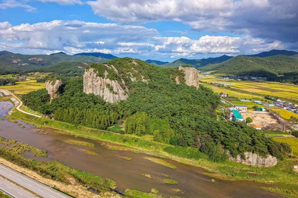 고창 벚꽃 (출처 : 한국관광공사)