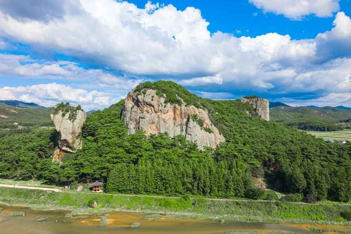 석정지구 고창 벚꽃축제 - 고창벚꽃 여행