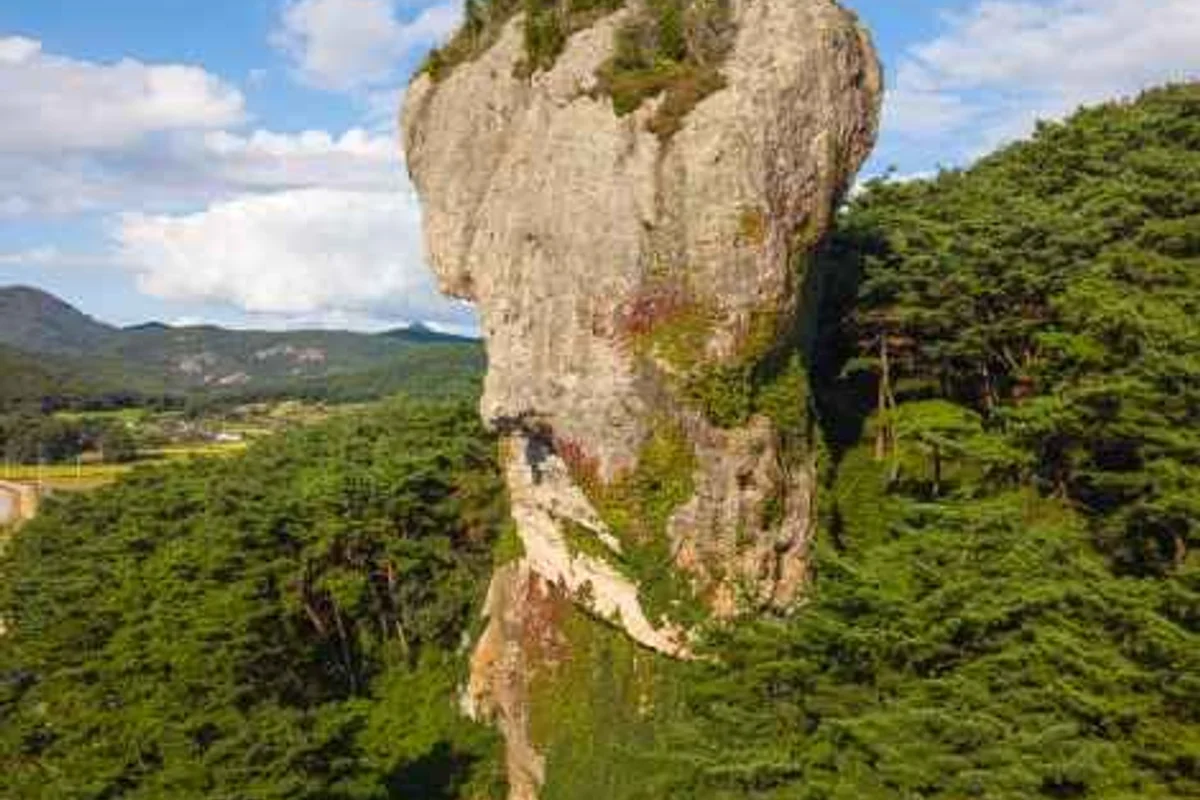 상하농원 - 고창벚꽃 여행