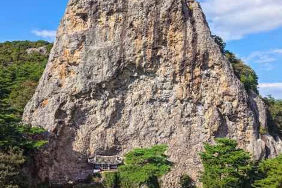 넓은들 학원농장 - 고창벚꽃 여행