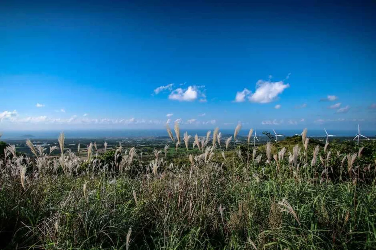 새별오름 - 애월여행 여행