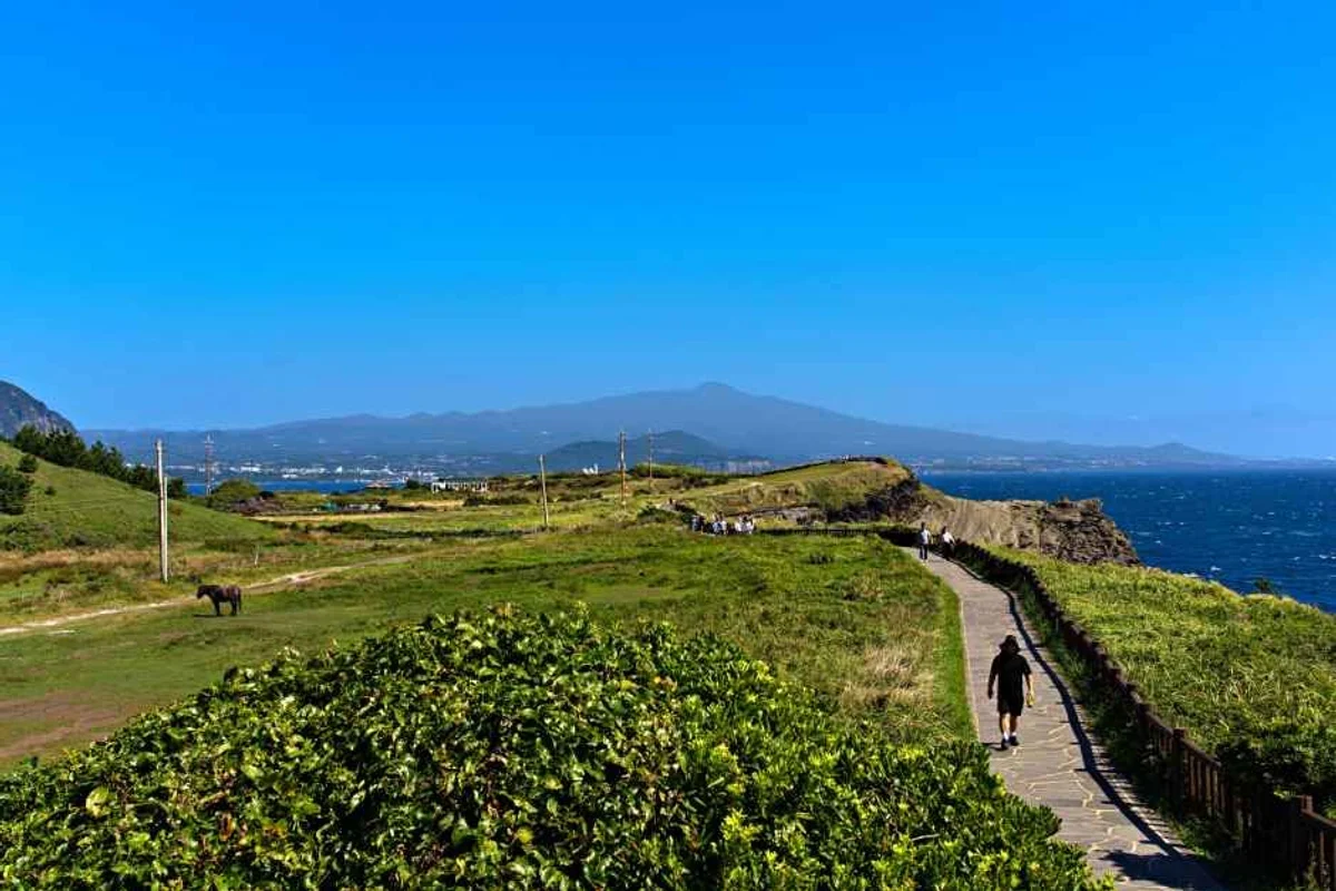 한라산 - 제주여행 여행