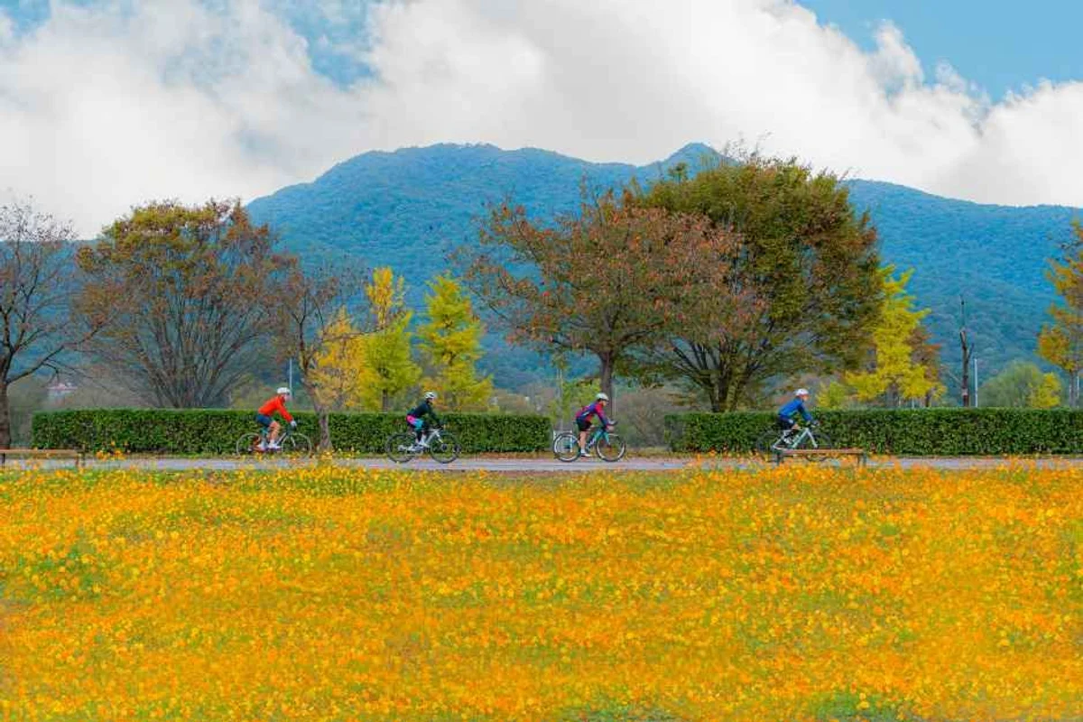 서대문구 자전거 도로 (출처 : 한국관광공사)