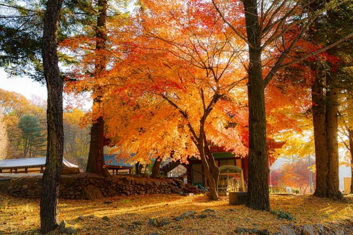 2026 경기 숙소 BEST 7, 지금 떠나는 봄 여행 - 경기도여행 여행