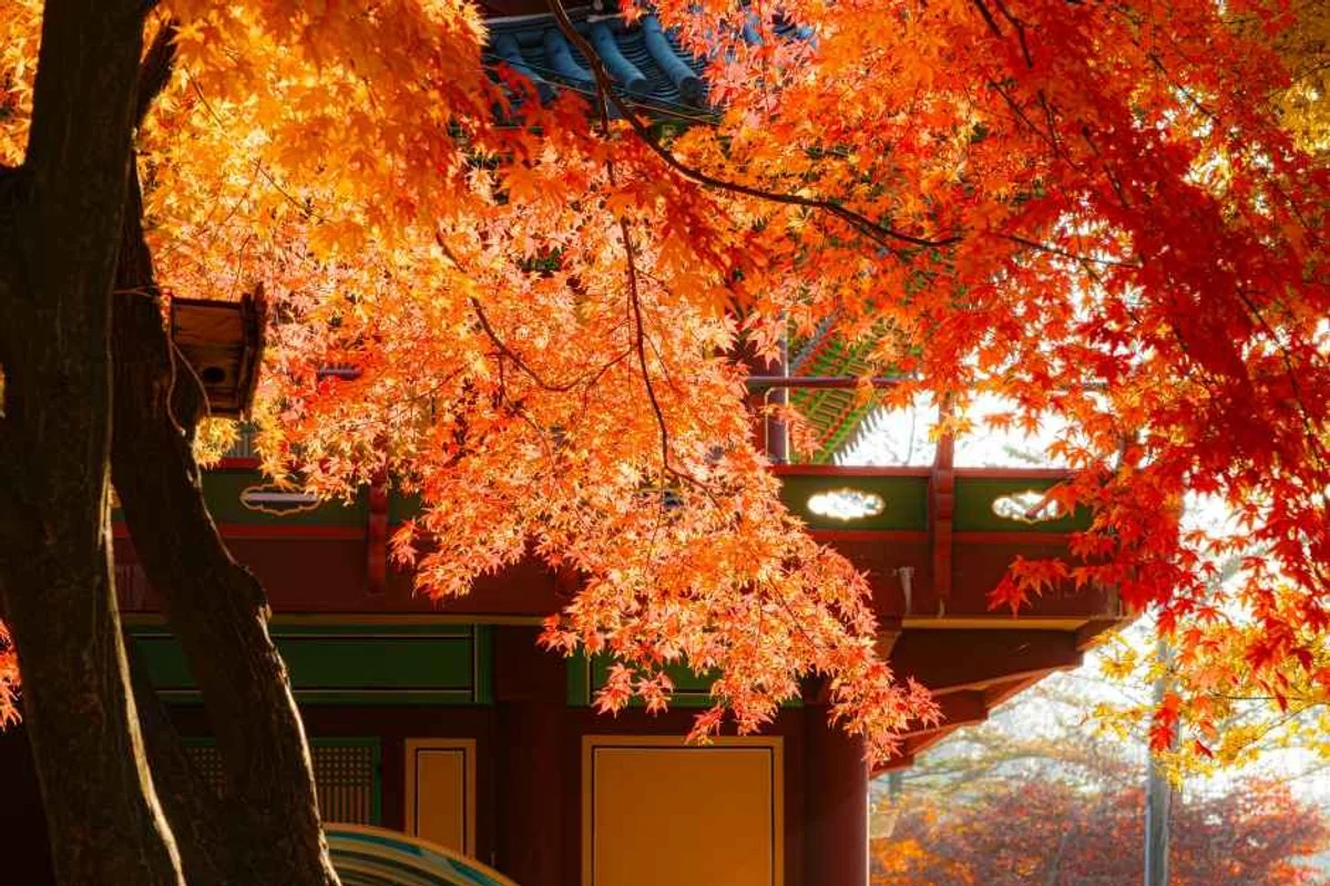 캐리비안 베이 - 경기도여행 여행