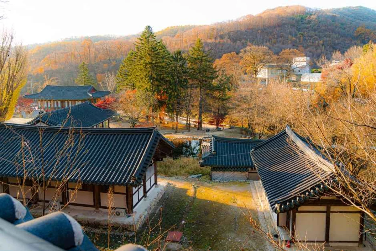 농협경제지주 안성팜랜드 - 경기도여행 여행