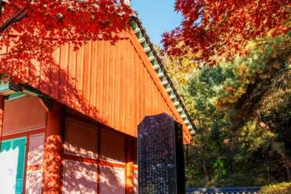 파리공원 - 양천구여행 여행