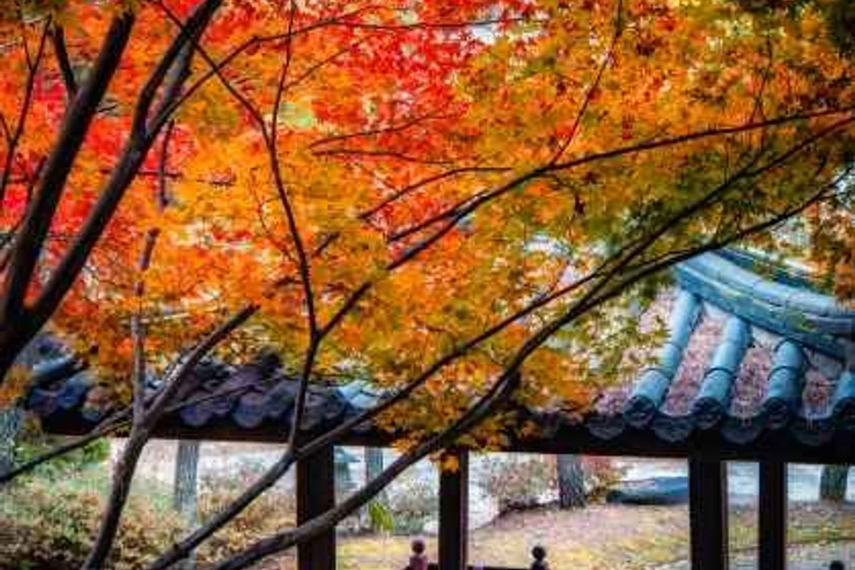 세종 일출 명소 (출처 : 한국관광공사)