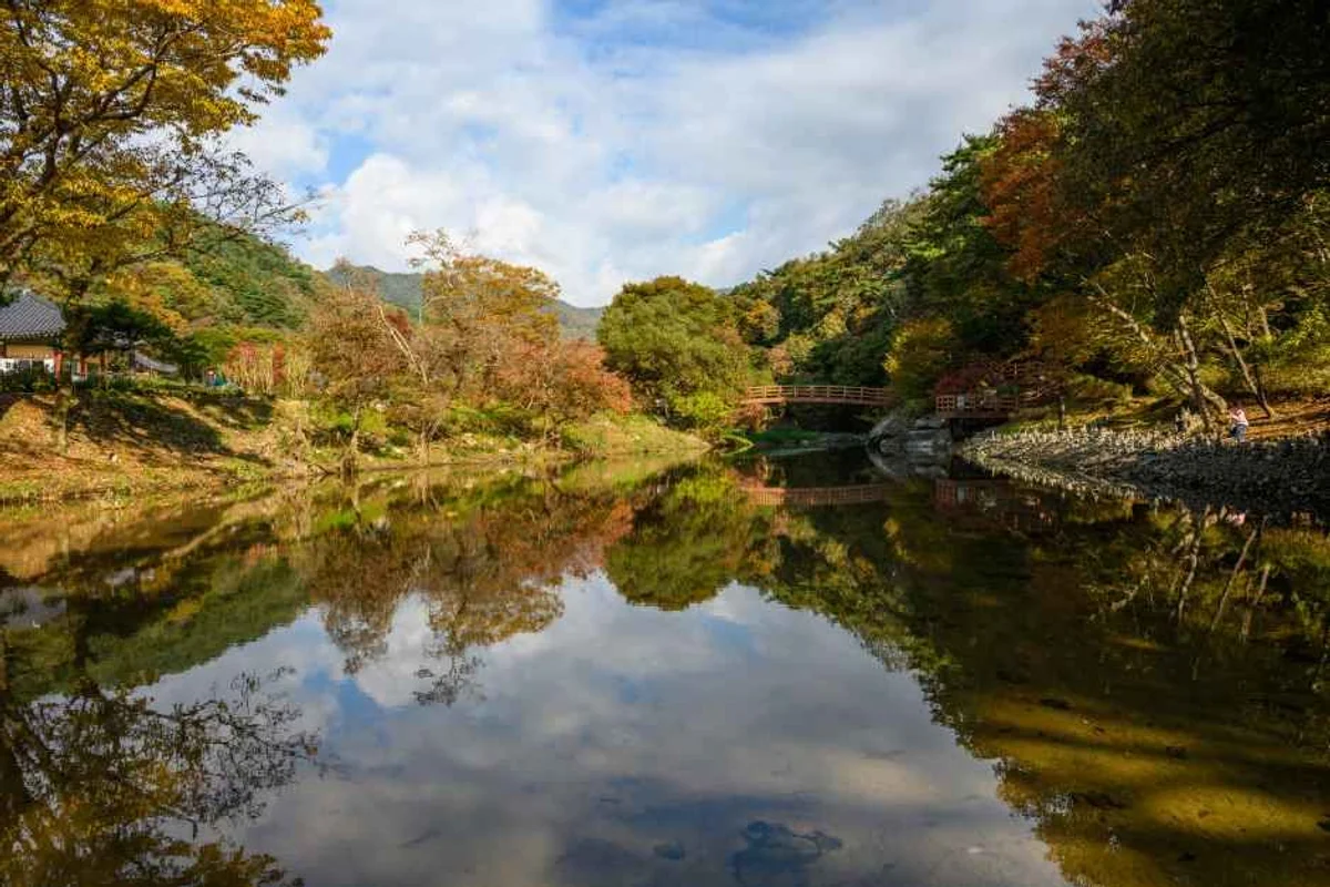 공주무령왕릉과왕릉원 - 공주여행 여행