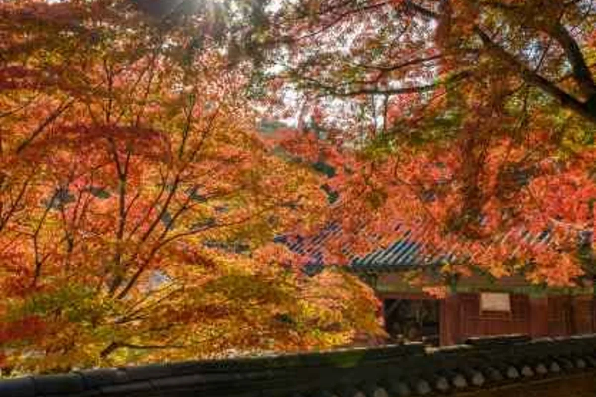 마곡사 - 공주여행 여행